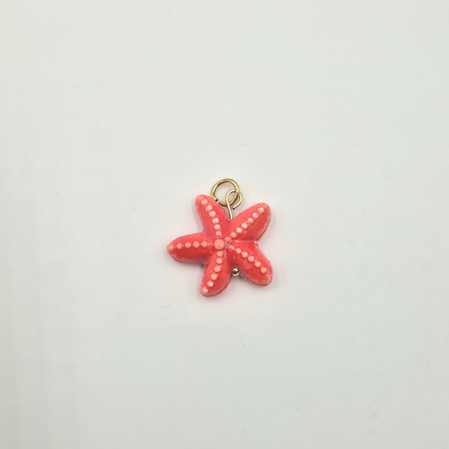 Charm Etoile de Mer