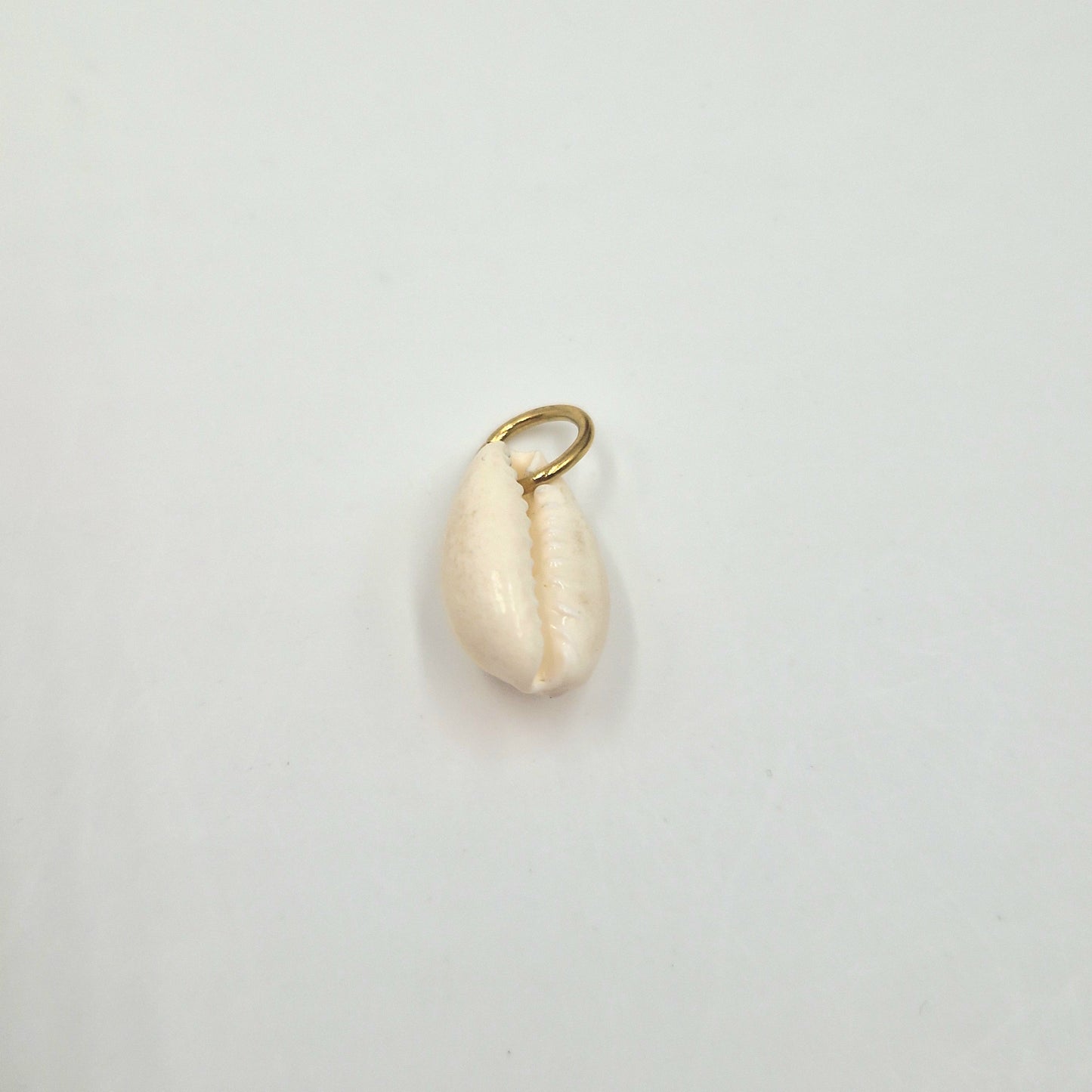 Charm Coquillage naturel