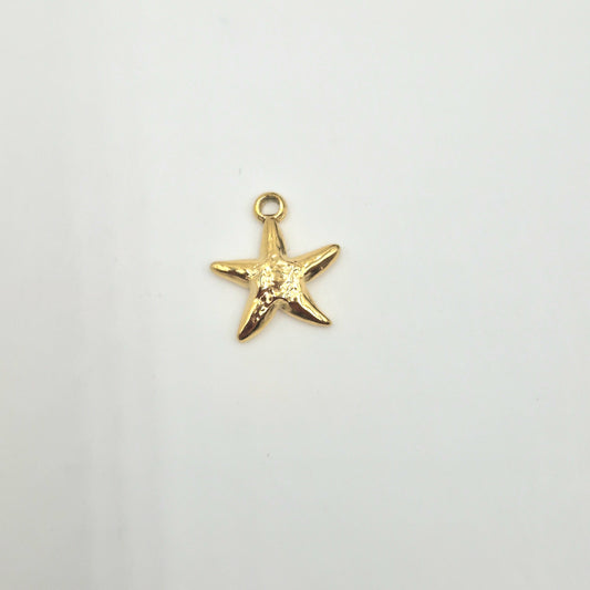 Charm Etoile doré