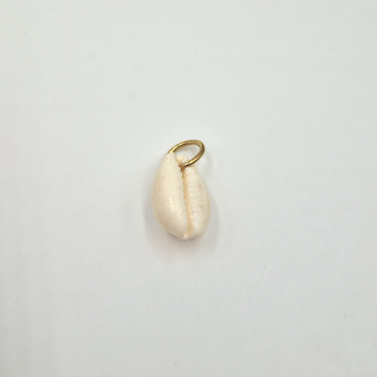 Charm Coquillage naturel